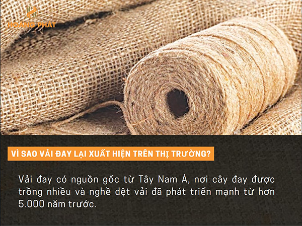 Vải đay là gì? Có nên sử dụng vải đay thường xuyên không? 10 vải đay là gì